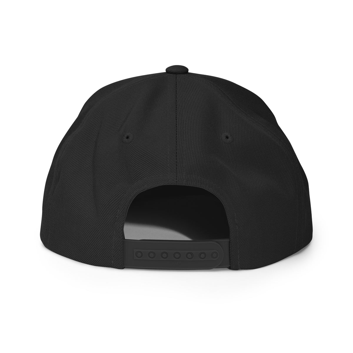 TR Logo Snapback Hat