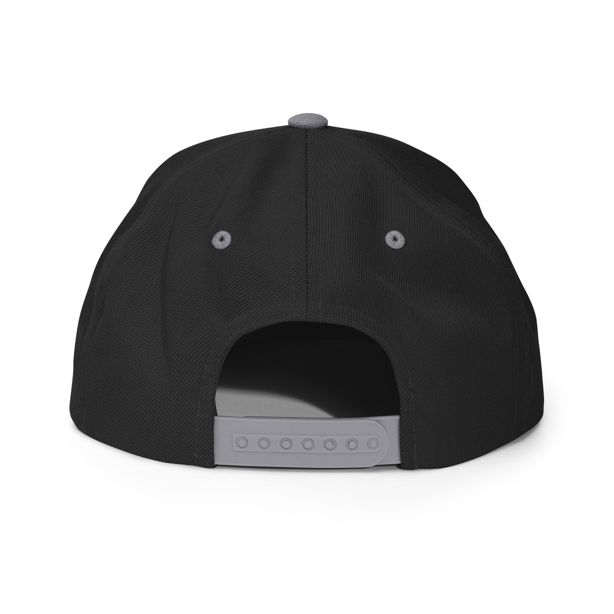 TR Logo Snapback Hat