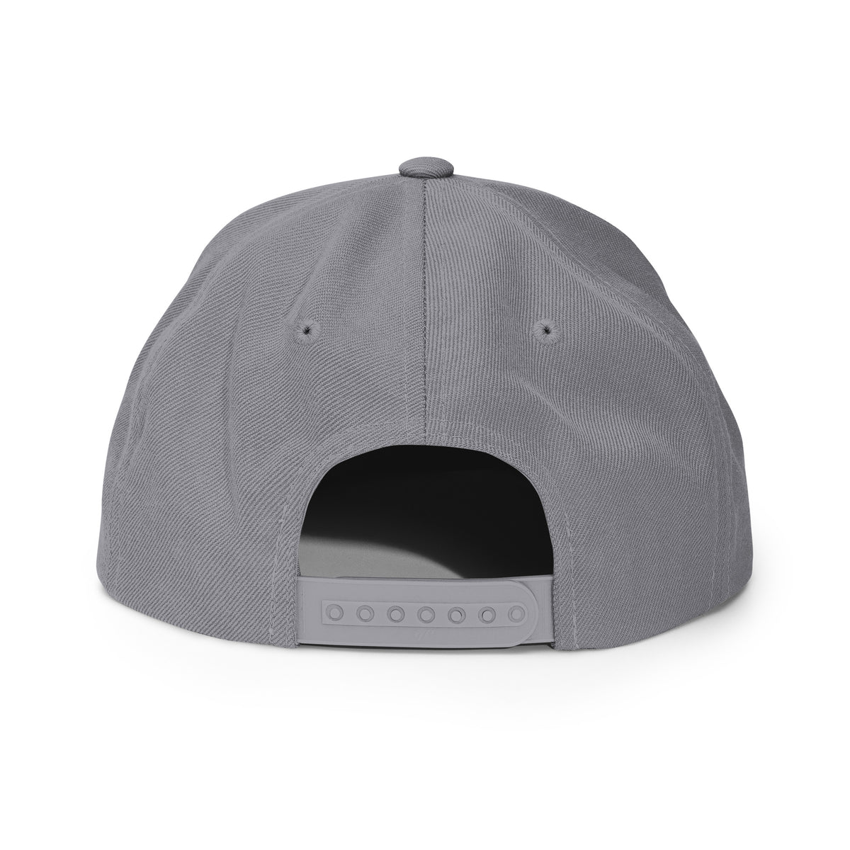 TR Logo Snapback Hat